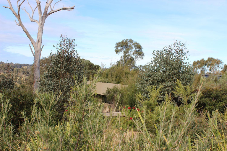 Food & Drinks, Down to Earth Farm Retreat, E. Gippsland - Bairnsdale