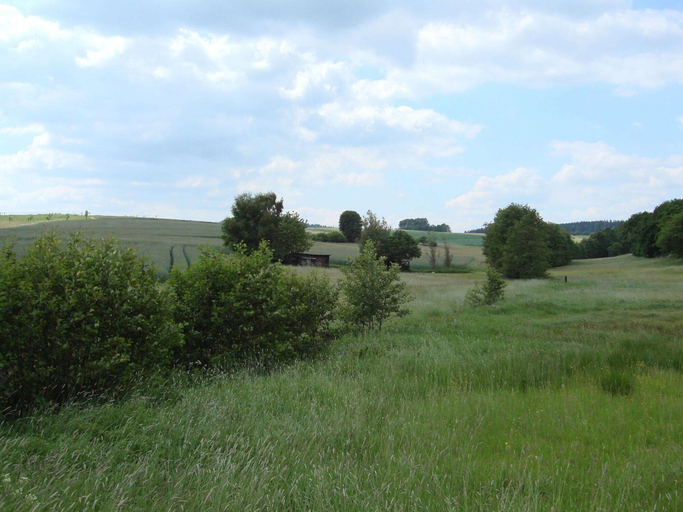 Others 5, Home With Garden, Hallenberg, Hochsauerlandkreis