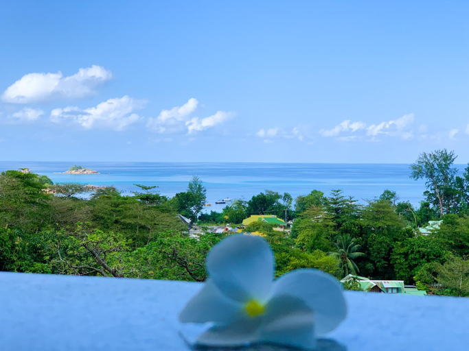 Others 4, Exotic Guest House