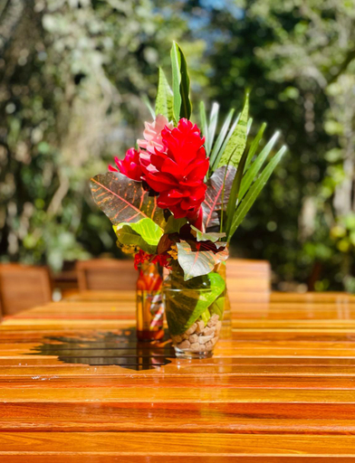 Food & Drinks 5, Mariposa Jungle Lodge