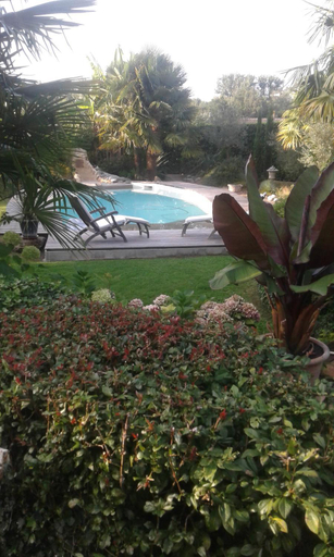 Others 5, Cote jardin, Landes