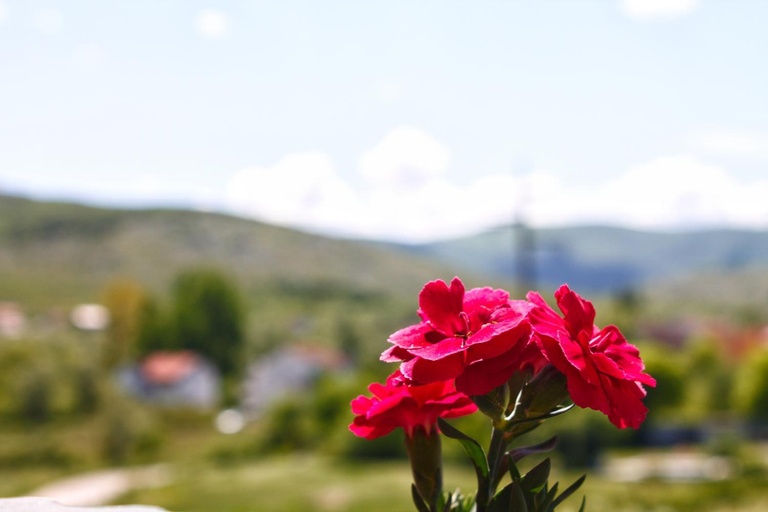 Others 3, Apartmani S.KILACI, Herzegovina-Neretva
