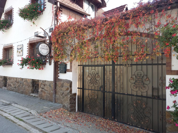 Exterior & Views 1, Casa de vacanta Vidrighin, Rau Sadului