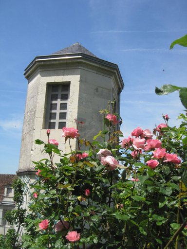 Exterior 1