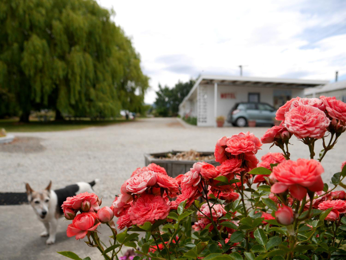 Others 2, Ranfurly Motels, Central Otago