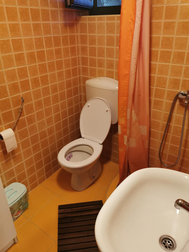Bathroom, Brvnara na obali reke Drine, Bajina Bašta