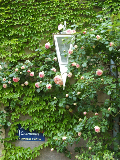 Others 3, Le Domaine De Pomone, Meuse