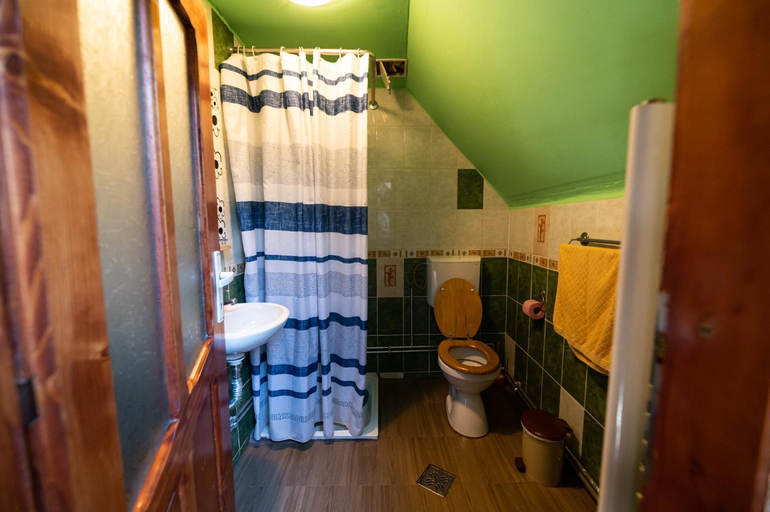 Bathroom 3, Casa de vacanta Vidrighin, Rau Sadului
