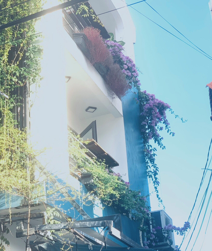 Exterior & Views 2, May's House Hoi An Ancient Town Center, Da Nang