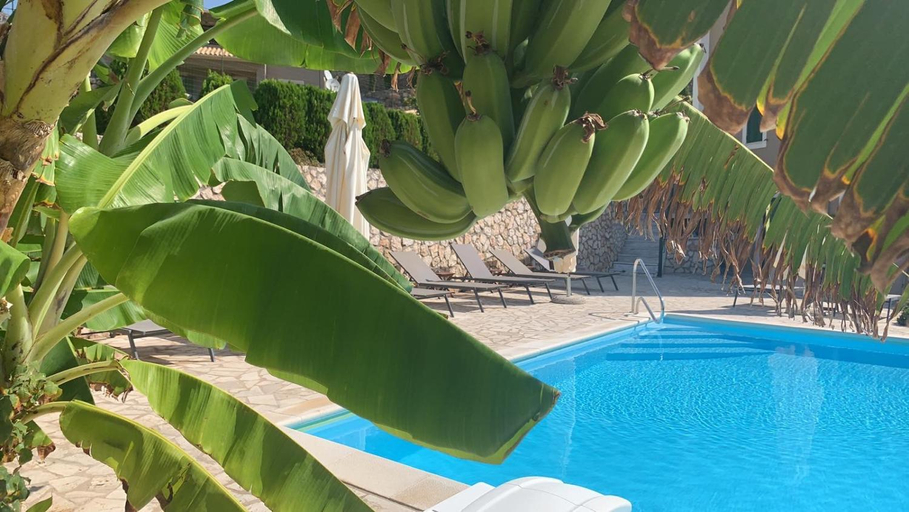 Others 2, Katarina Apartments Kefalonia - Sea View, Ionian Islands