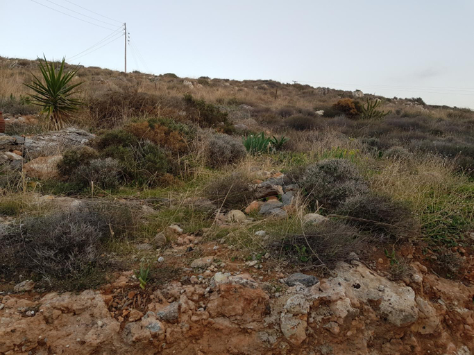 Others 2, Christi Apartments Α&Β, Crete
