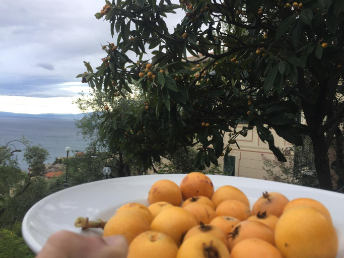 Food & Drinks 4, B&B Case Rosse, Genova
