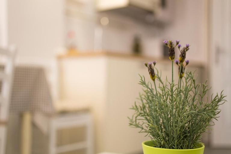 Facilities 4, Apartments Casa Vecchia, Rovinj
