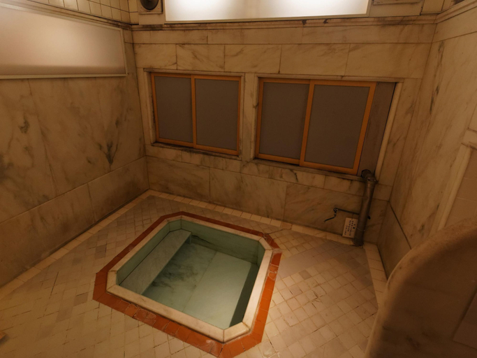 Bathroom 4, Ichinoyu Honkan, Hakone