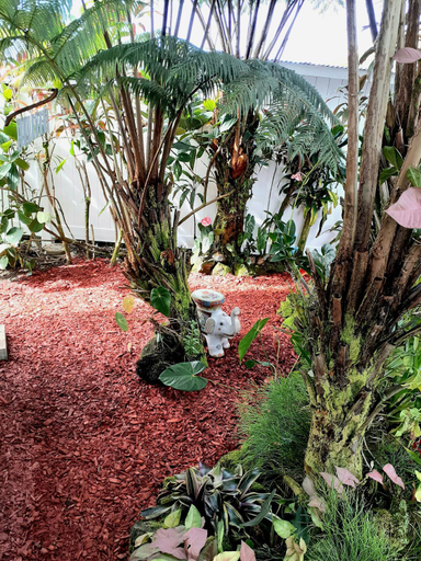 Others 2, Paradise Cottage at Anthurium Hale, Hawaii