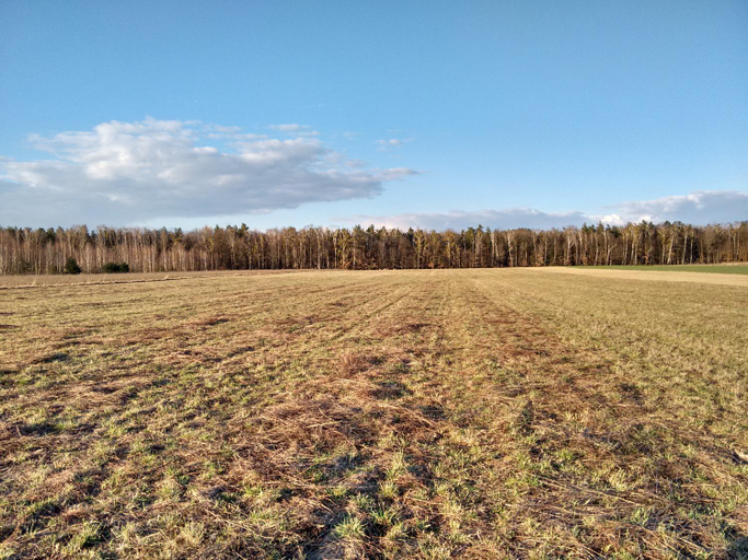 Others 4, Agroturystyka pod Czarna Sosna, Zwoleń