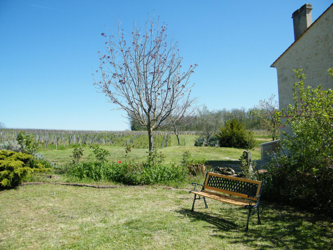 Garden 5, Clos Vieux Rochers Vineyard, Gironde