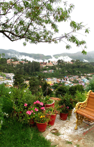 Others 2, Hospitality Expert Royston BBQ Bonfire Chef, The Nilgiris