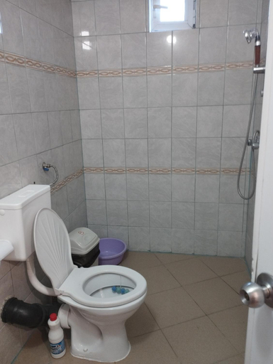 Others 5, Tolem, Borino