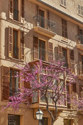 Others 5, Vila Damunt, Baleares
