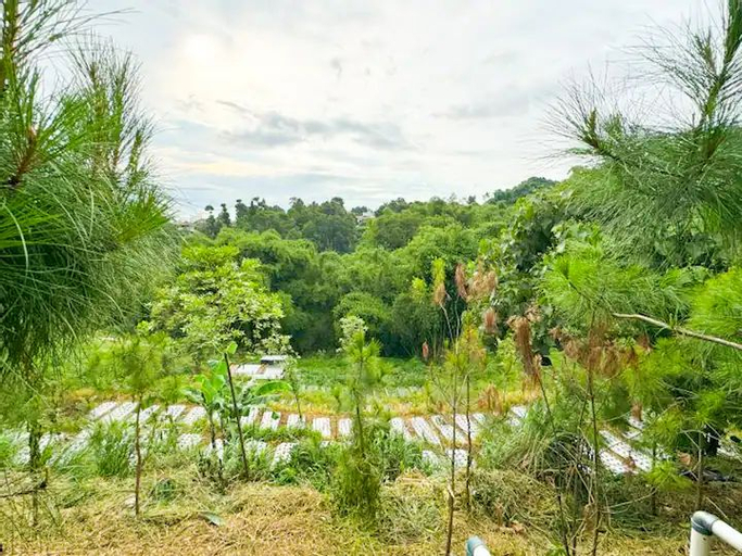 Scenery 7