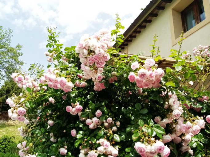 Villa nel verde | civico 2, Pistoia