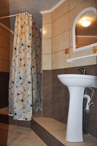 Bathroom 3, Zacharovany Karpaty, Skolivs'kyi