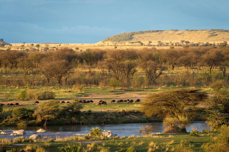 Others 3, Serengeti River Camp, Serengeti