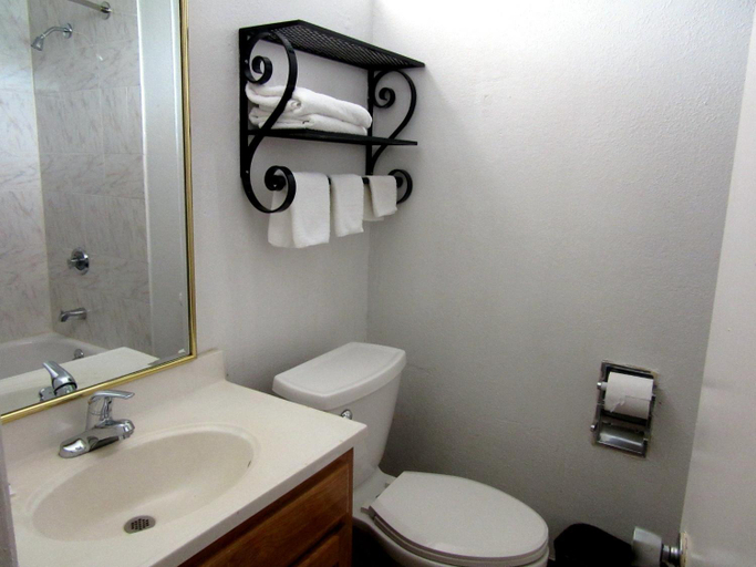 Bathroom 2, Budget Host Inn, Arlington