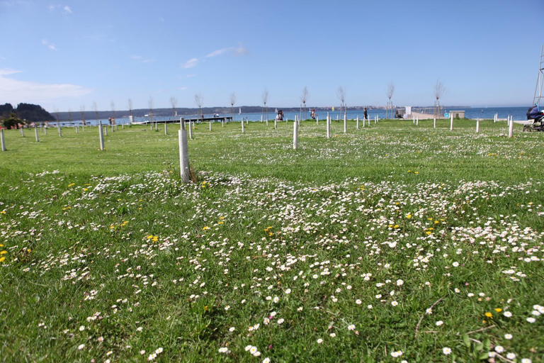 Others 3, Apartments Morski Svet Portorož, Piran