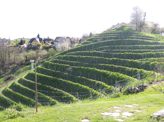 Others 3, Weingut Albert, Familie Cramer, Leibnitz