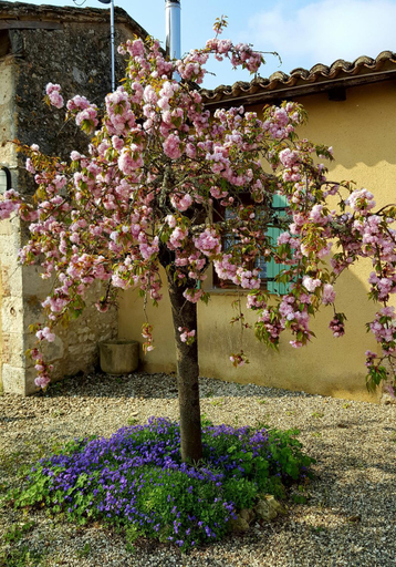 Others 5, La Petite Auberge - Gites, Dordogne