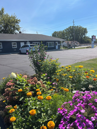 Exterior & Views 2, East Court Motel, Lambton