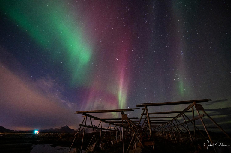 Others 4, Fish factory -The real Lofoten experience, Vestvågøy