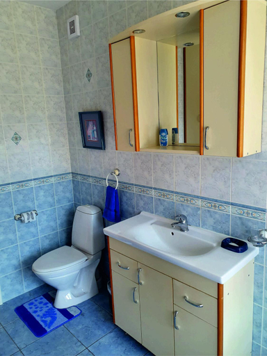 Bathroom 2, The Cat house Jurmala, Riga