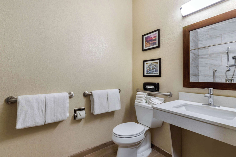 Bathroom 4, Comfort Suites San Antonio Airport North, Bexar