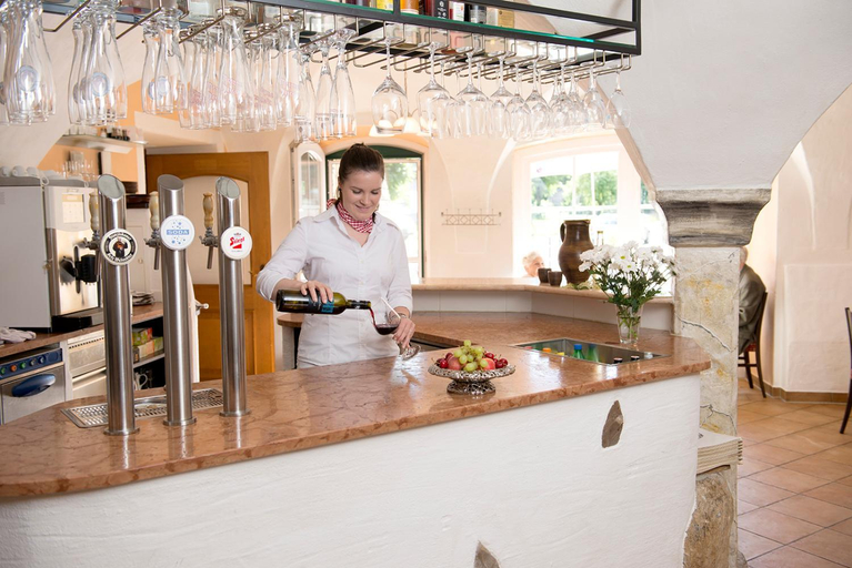 Food & Drinks 4, Hotel Alt-Oberndorf, Salzburg Umgebung