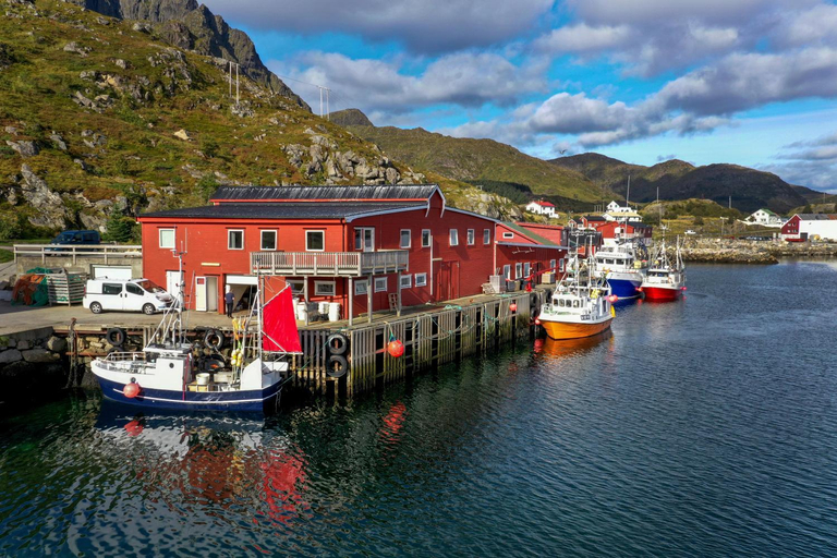 Others 5, Fish factory -The real Lofoten experience, Vestvågøy