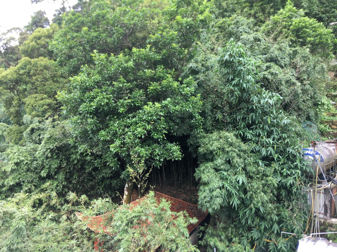 Scenery 15