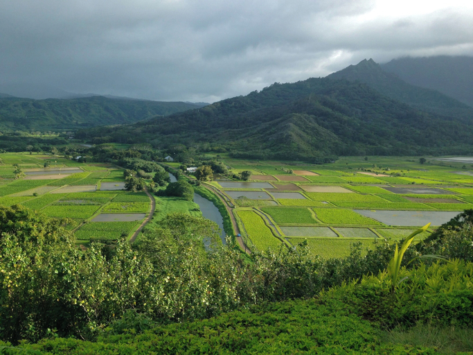 Others 5, Puamana 25A, Kauai