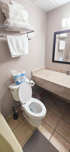 Bathroom 2, Kiteville Neptune, Monmouth