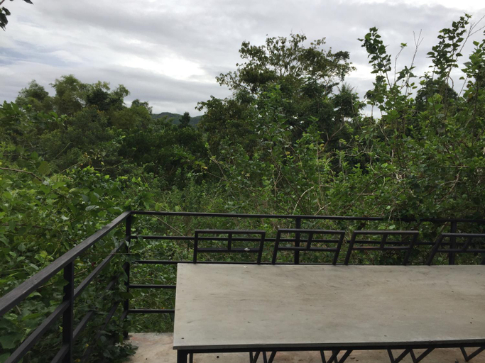 Scenery 24