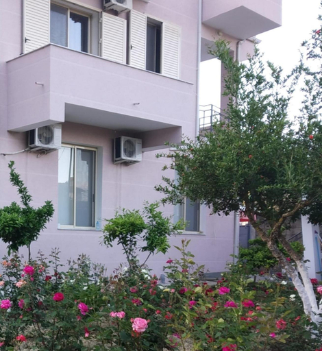Others 3, Olive B&B, Beratit