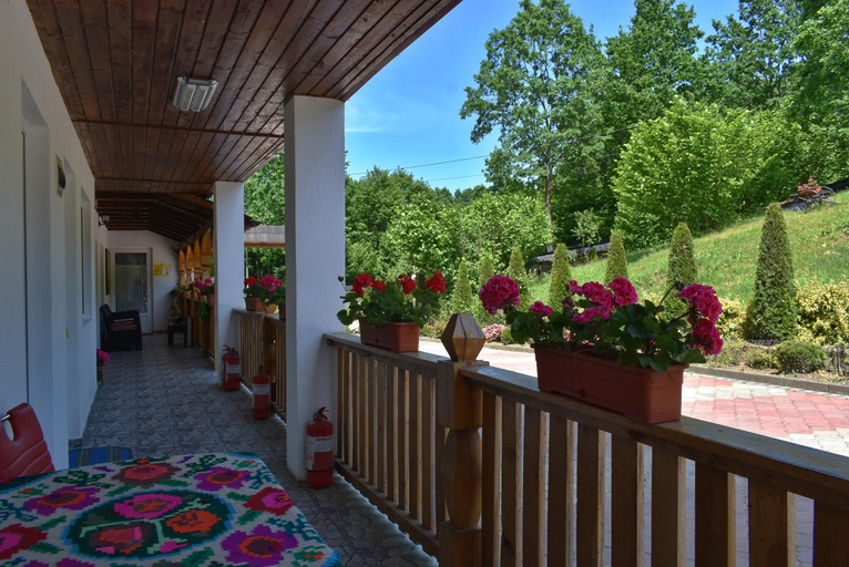Others 5, Casa Papitu, Vadu Izei