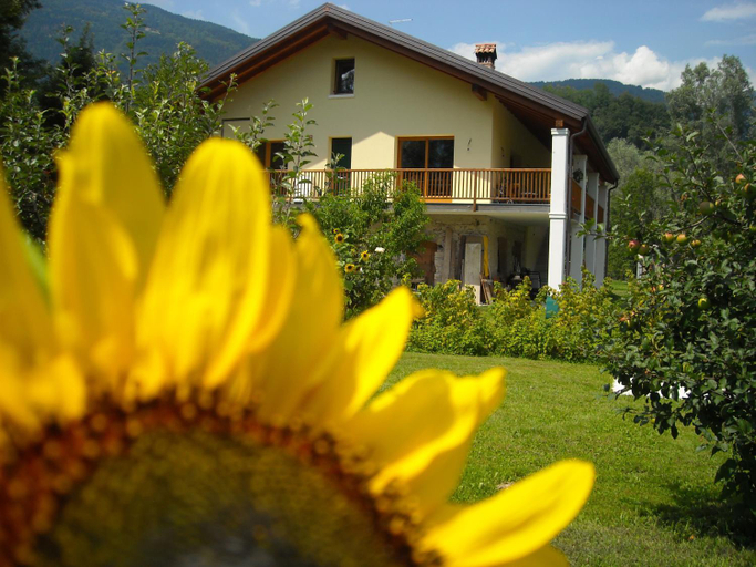 Others 2, Agriturismo Il Girasole, Belluno