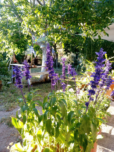 Others 3, Arcadia Eressos, North Aegean
