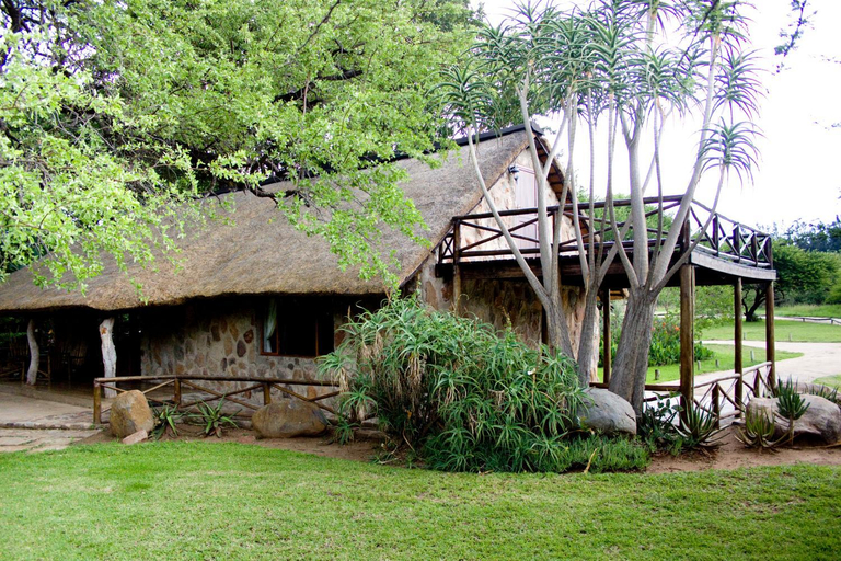 3, Moholoholo Ya Mati, Mopani