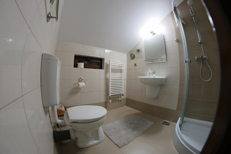 Bathroom 4, Cabana Todireni Vatra Dornei, Neagra Sarului