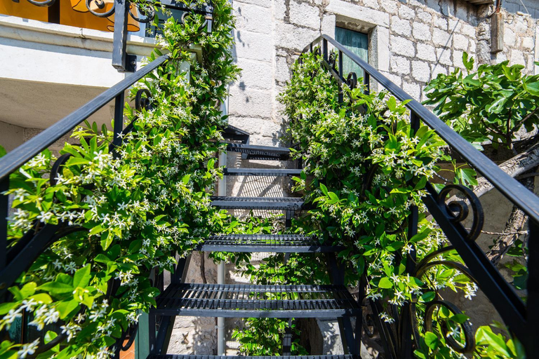 Entrance 2, Small house Pivcevi, Podgora