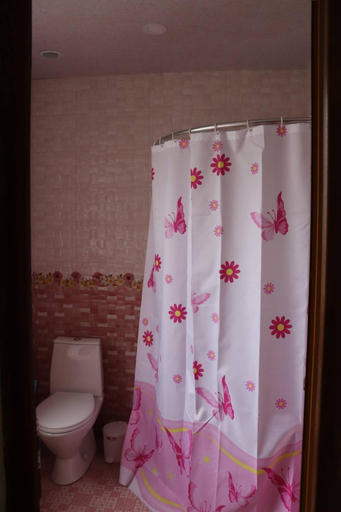 Bathroom 2, Dzorak
